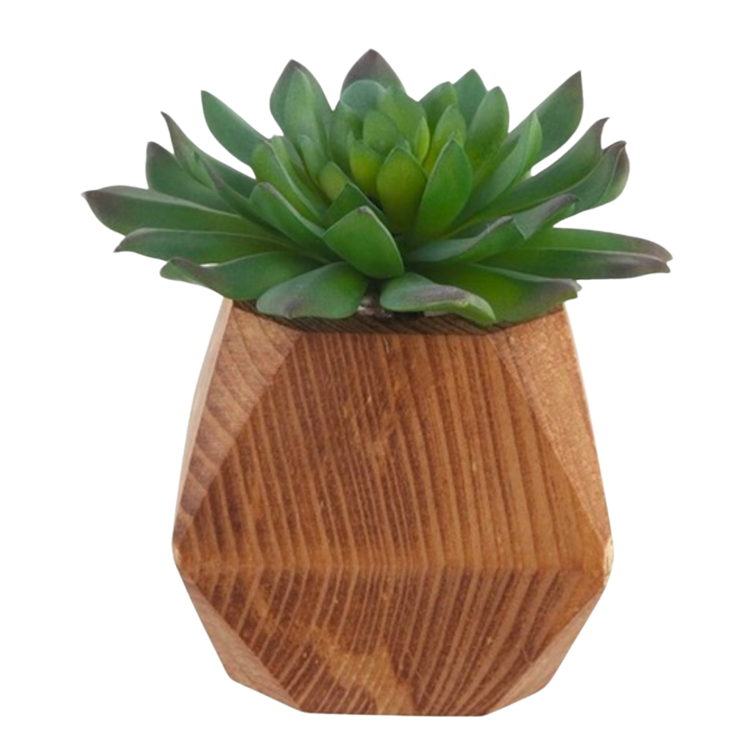 Faux succulent in a stylish geo wooden base - a trendy and low-maintenance addition to your home decor.