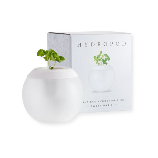 Basil Hydropod Kit: Grow fresh basil effortlessly.