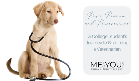 Heart set on healing: Dive into the uplifting story of a college student pursuing her dream to become a veterinarian, supported by Me To You Box.