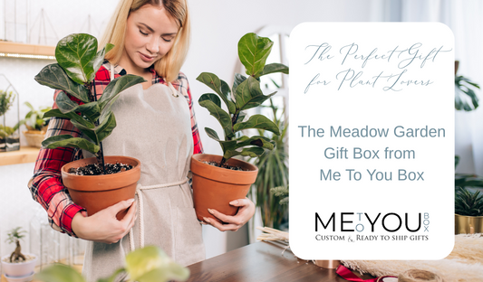 Woman wearing an apron and holding two plants.