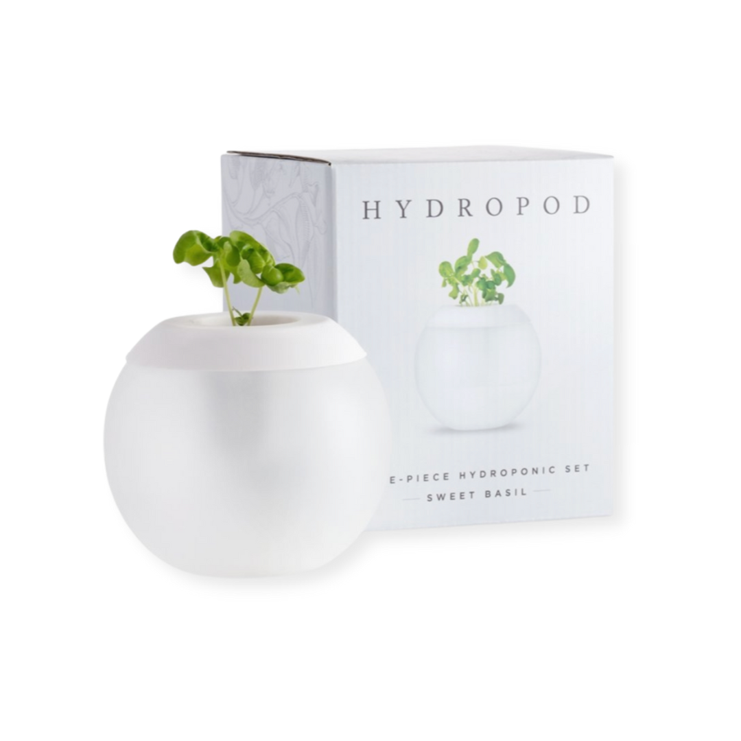 Vibrant sweet basil hydroponic kit - easy indoor gardening solution for fresh, aromatic herbs at your fingertips!