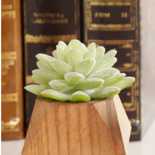 Faux succulent in a geo shaped wooden base perfect for any space in a home or office.
