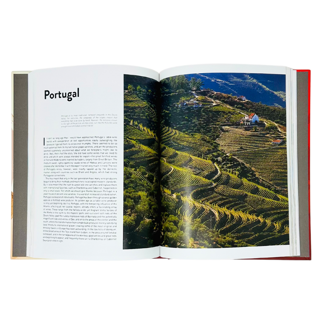 Vibrant vineyard scene in Portugal from Oz Clarke's World of Wine Hardcover, capturing the essence of winemaking.