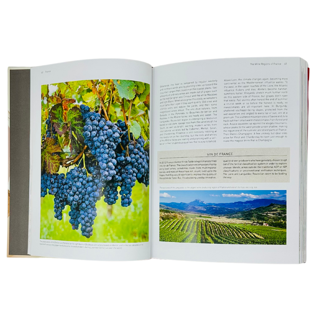 Vibrant bunches of grapes hang on vines, illustrating the diverse world of wine in Oz Clarke's captivating coffee table book.