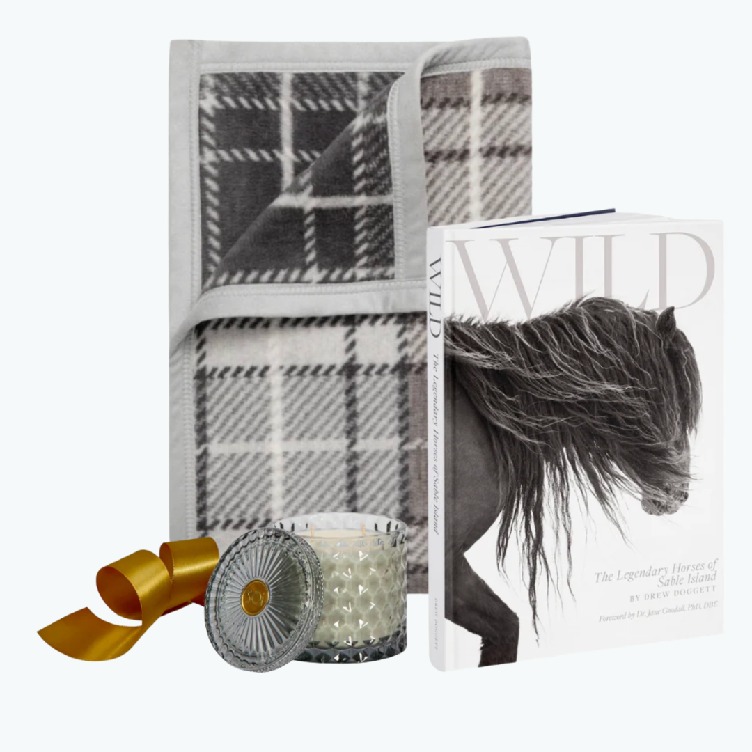 Plaid blanket, candle, and book titled 'Wild' on a white background.