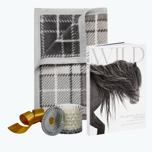 Plaid blanket, candle, and book titled 'Wild' on a white background.