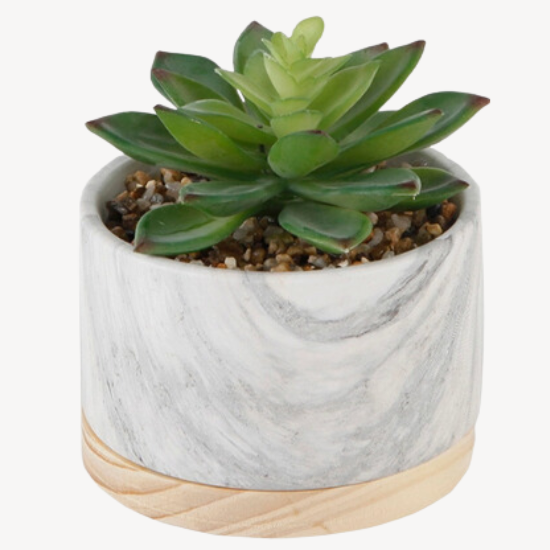 A stylish faux succulent in a handcrafted marble and wood base, designed to bring effortless greenery to any home or office space. This artisan-crafted tabletop accessory offers the beauty of natural plants without the need for maintenance, making it a perfect décor piece for a modern and elegant touch. Dimensions: 4.75" X 4.75" X 6”.