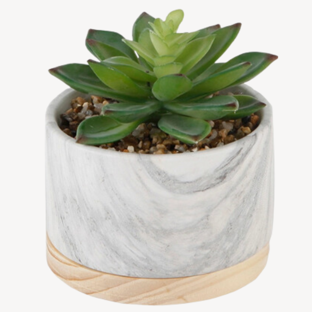 A stylish faux succulent in a handcrafted marble and wood base, designed to bring effortless greenery to any home or office space. This artisan-crafted tabletop accessory offers the beauty of natural plants without the need for maintenance, making it a perfect décor piece for a modern and elegant touch. Dimensions: 4.75