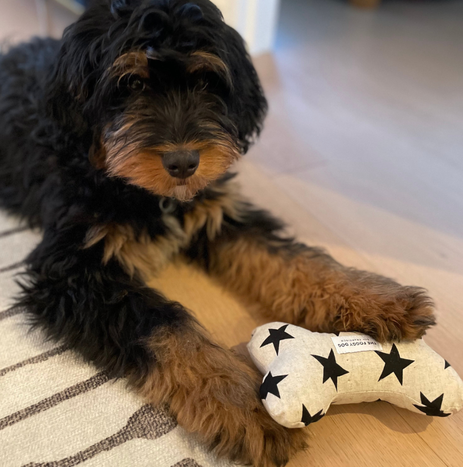 Foggy Dog's plush dog squeaky toy with black stars on cream canvas in a bone shape.