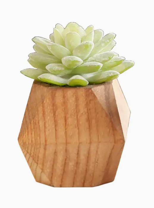 Lifelike Faux Succulent, perfect for low-maintenance greenery. Available online at Me To You Box for a touch of nature without the fuss. Artificial Succulent for vibrant decor without the watering routine. Find this charming faux plant at Me To You Box's online store, adding a touch of green to your space effortlessly.