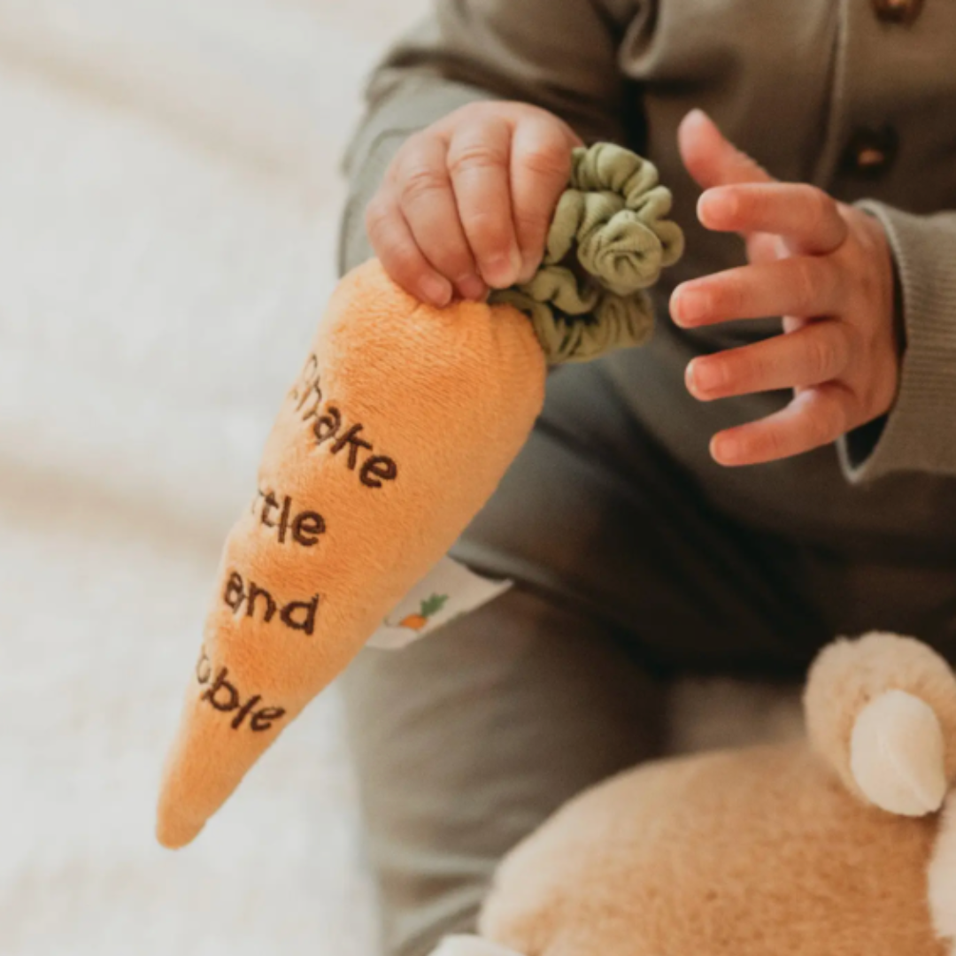 Child holding an orange colored plush carrot toy with text, wearing a coat. The text on the carrot toy says shake, rattle and nibble.