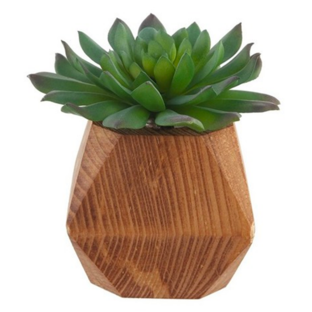 Faux succulent in geo-shaped wood base: Realistic artificial plant adds modern flair to any space without the need for maintenance.